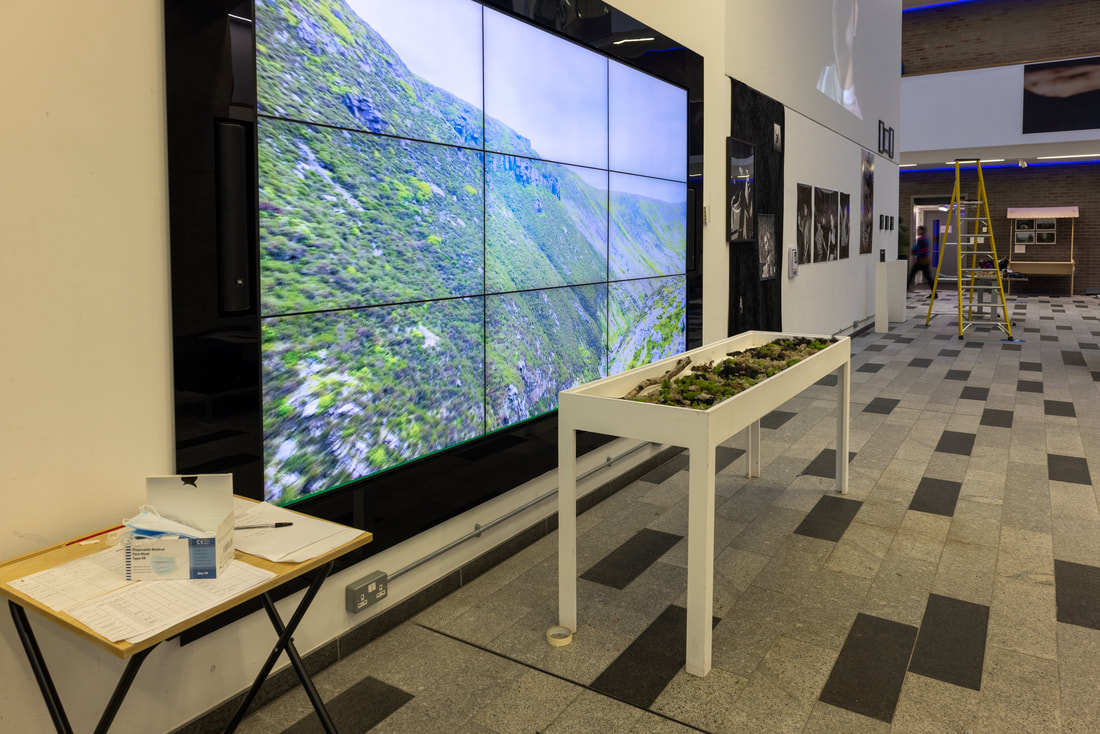 Capture of the immersive installation at the Degree show 2022, inviting viewers to explore and engage with the artwork